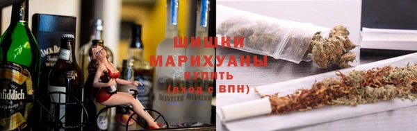 таблы Гусев