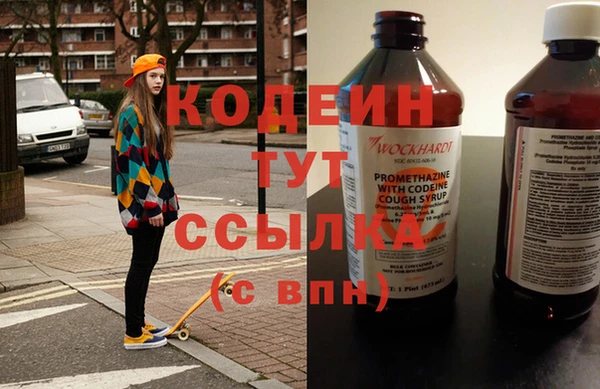 таблы Гусев