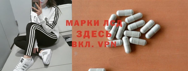 таблы Гусев
