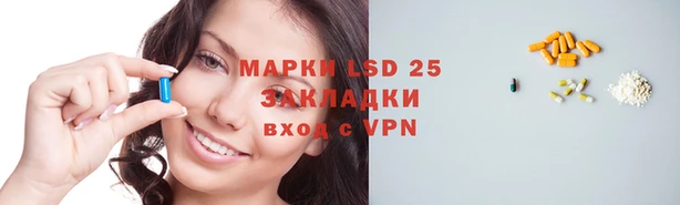 таблы Гусев