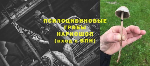 прущая мука Гусь-Хрустальный
