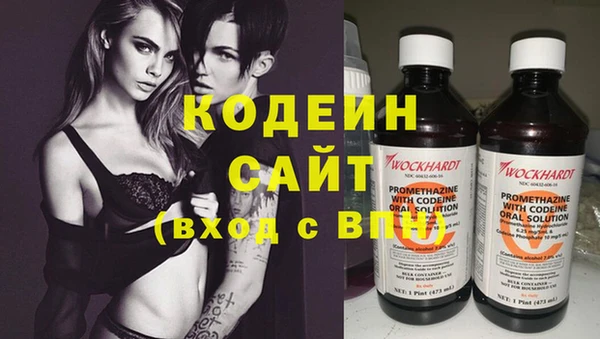 таблы Гусев