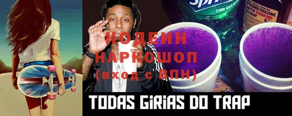 таблы Гусев