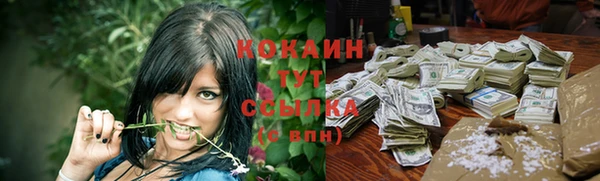 таблы Гусев